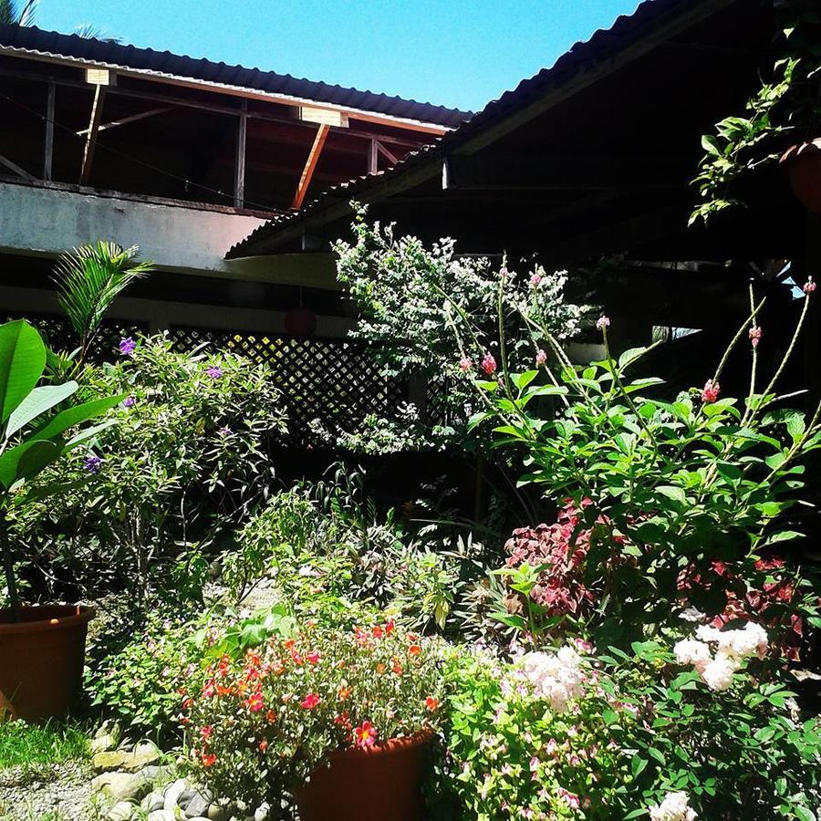 Hotel Puerto Viejo Puerto Viejo de Talamanca Экстерьер фото